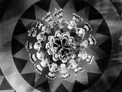 Premium Photographic Print, , small