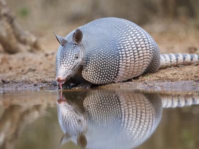 Photographic Print, , small