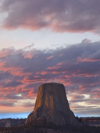 Premium Photographic Print, , small