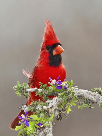 Photographic Print, , small