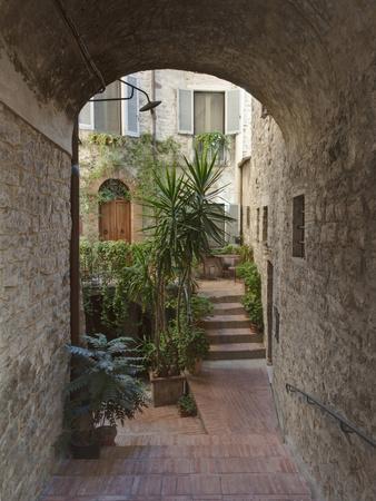 Photographic Print, , small