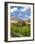 Barn in Vineyard, Yakima, Washington, USA-Richard Duval-Framed Photographic Print