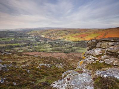 Photographic Print, , small