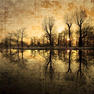 Photographic Print, , small