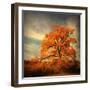 Orange Season-Philippe Sainte-Laudy-Framed Photographic Print