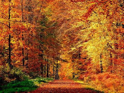 Photographic Print, , small