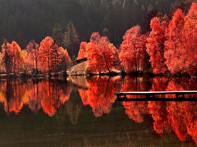 Photographic Print, , small