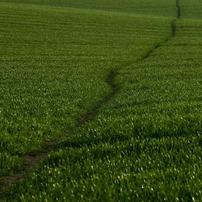 Photographic Print, , small