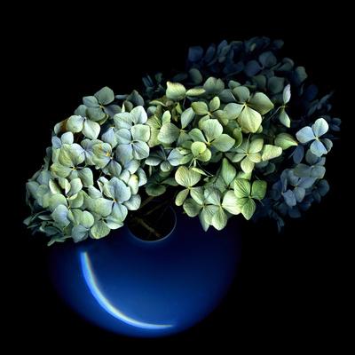 Photographic Print, , small