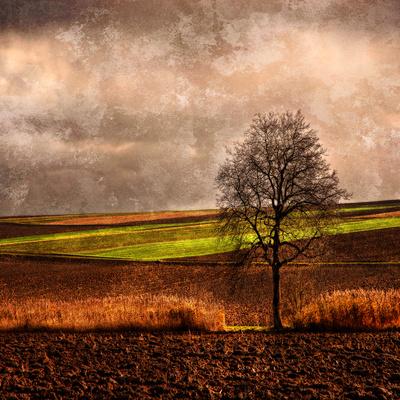 Photographic Print, , small