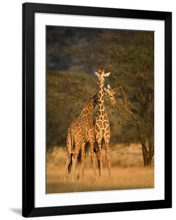 Photographic Print, , small