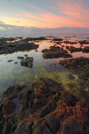 Premium Photographic Print, , small