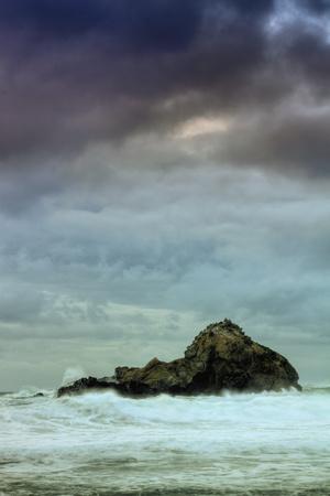 Premium Photographic Print, , small