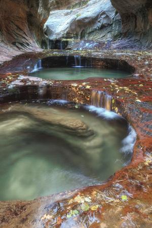 Premium Photographic Print, , small