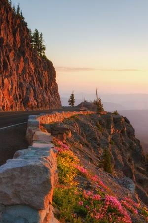 Photographic Print, , small