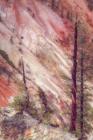 Premium Photographic Print, , small