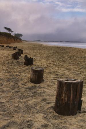 Premium Photographic Print, , small