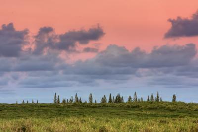 Photographic Print, , small