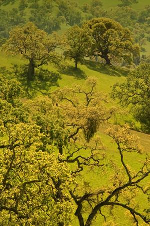 Photographic Print, , small