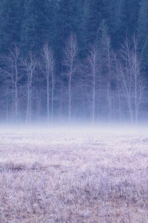 Premium Photographic Print, , small
