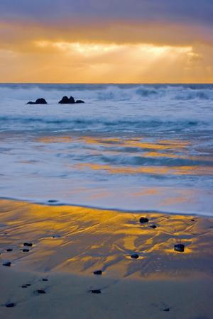 Premium Photographic Print, , small