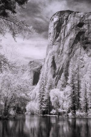 Photographic Print, , small