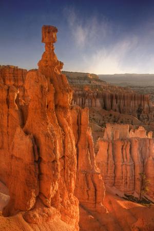 Premium Photographic Print, , small