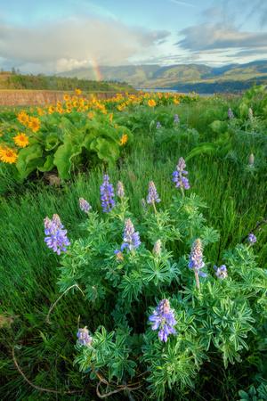 Premium Photographic Print, , small