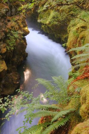 Premium Photographic Print, , small