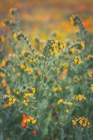 Photographic Print, , small