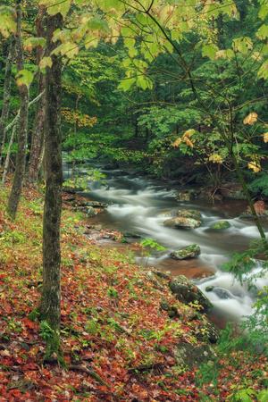 Premium Photographic Print, , small