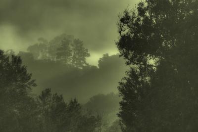 Premium Photographic Print, , small