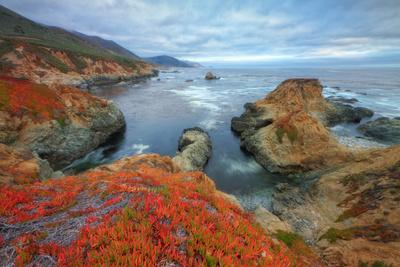 Premium Photographic Print, , small