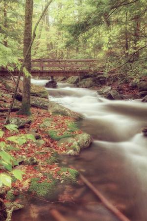Premium Photographic Print, , small
