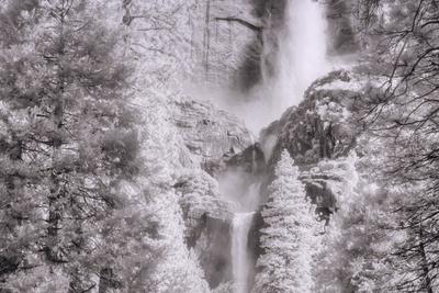 Premium Photographic Print, , small