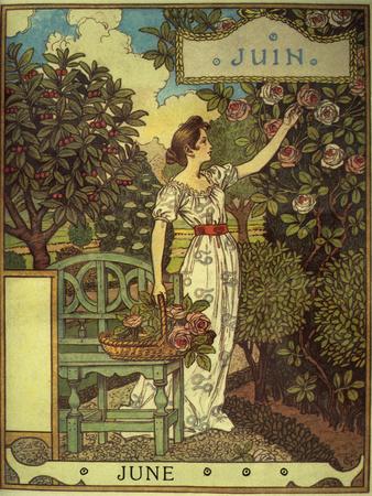 Giclee Print, , small