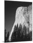 El Capitan, Yosemite National Park, California, USA-Adam Jones-Mounted Photographic Print