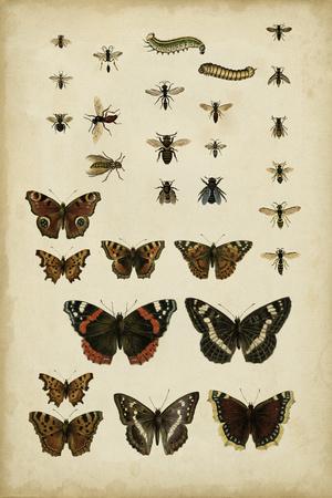 Premium Giclee Print, , small