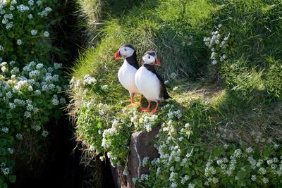 Photographic Print, , small