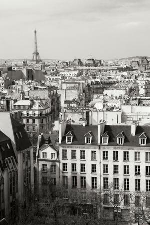 Premium Photographic Print, , small