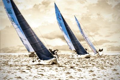 Premium Photographic Print, , small