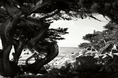 Premium Photographic Print, , small