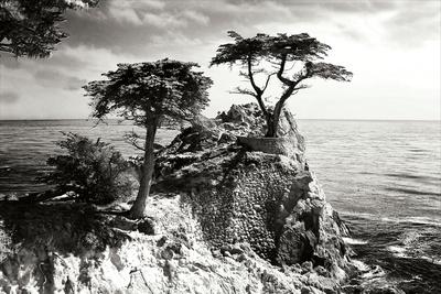 Premium Photographic Print, , small