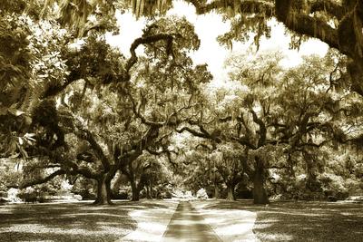 Premium Photographic Print, , small
