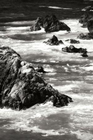 Premium Photographic Print, , small