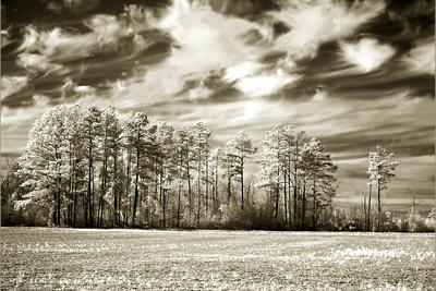 Premium Photographic Print, , small