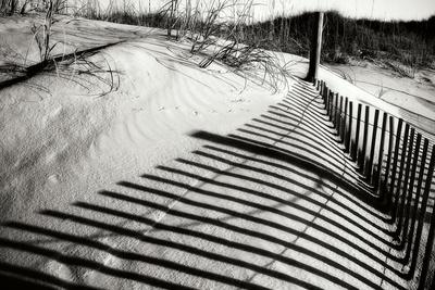 Premium Photographic Print, , small