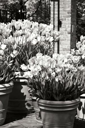 Premium Photographic Print, , small