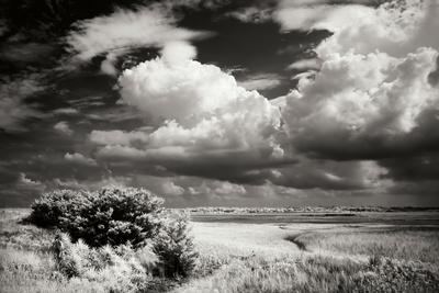 Premium Photographic Print, , small