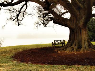 Premium Photographic Print, , small